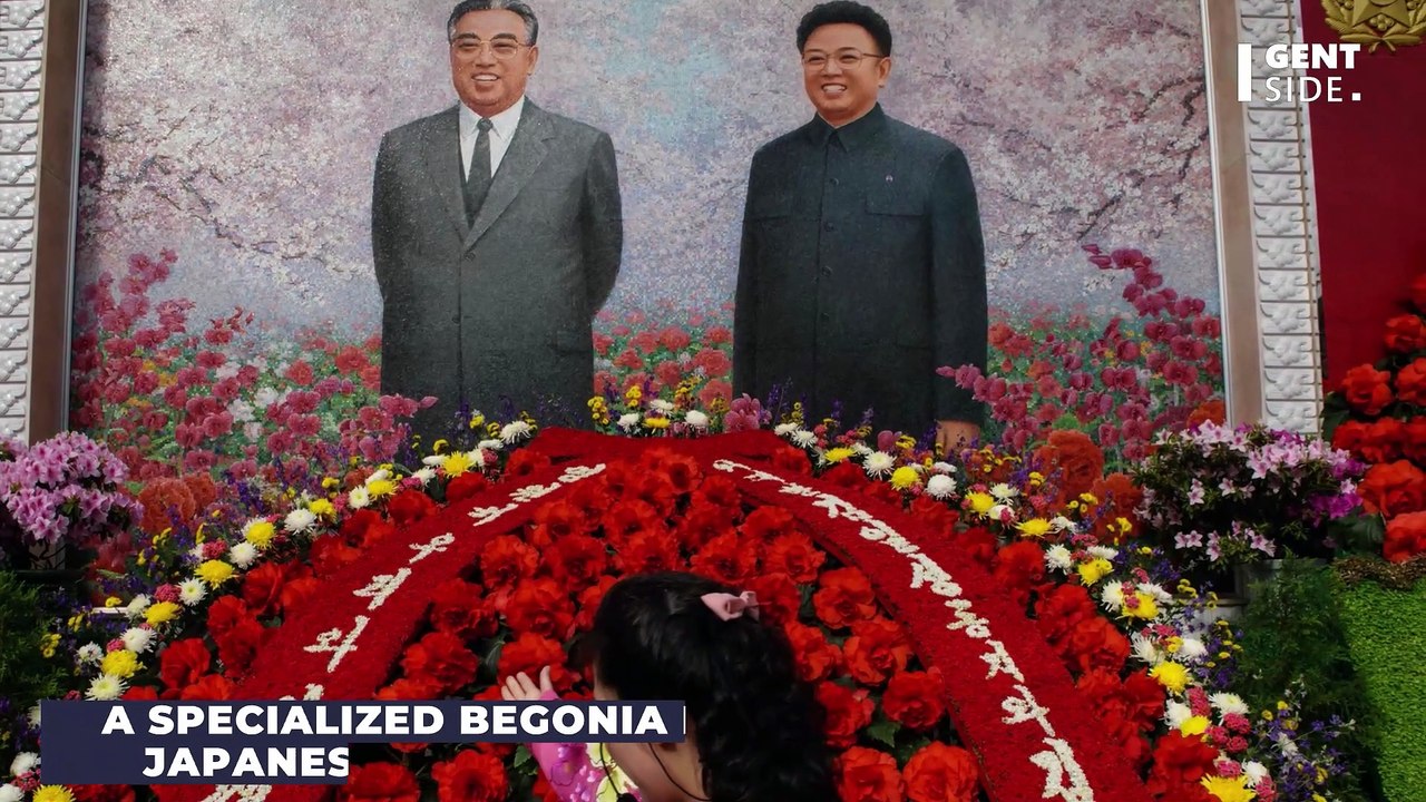 Kim Jong-un: Gardner sentenced to prison for 6 months due to this absurd reason