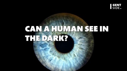 Night blindness: Do humans have the ability to see in the dark?
