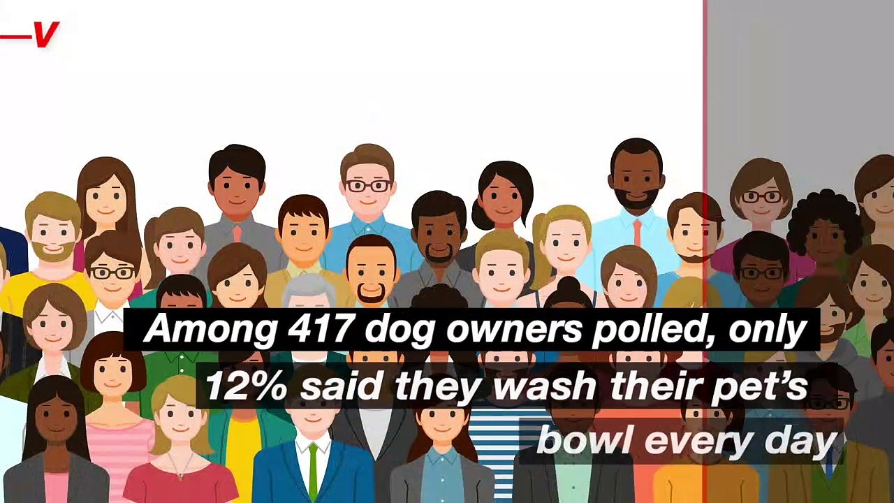 A New Study Reveals You’re Probably Not Feeding Your Dog Safely