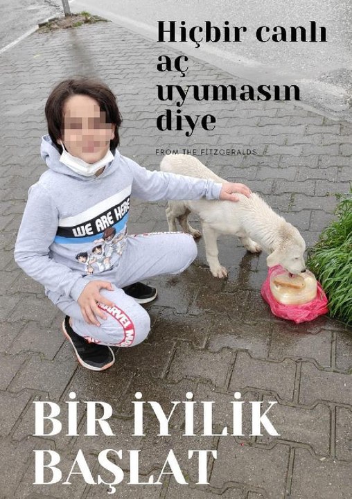 8 KÖPEĞİN SALDIRISINDA YARALANAN ÖMER EFE, SOKAK HAYVANLARI PROJESİNDE GÖREV ALMIŞ