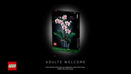L’orchidée Boutique LEGO officielle