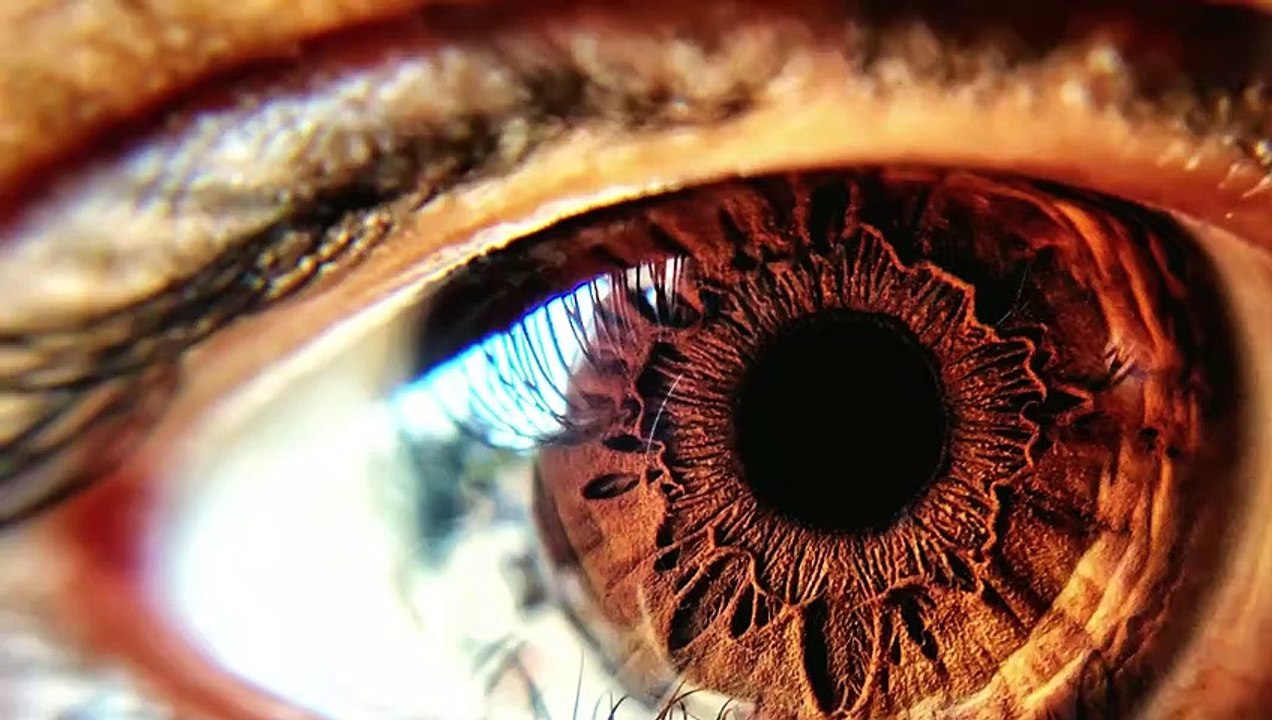 Seulement 1% de la population réussirait à résoudre cette illusion d'optique, faites le test