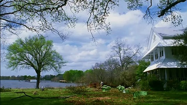 'La niebla', tráiler de la película de Frank Darabont