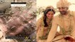 Alia Bhatt Ranbir Wedding: आलिया ने Bridal Saree के पल्लू पर लिखवाई ये खास बात | FilmiBeat