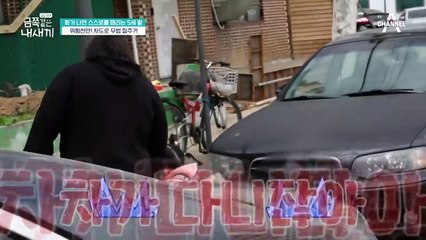 ※돌발 상황※ 차도로 무법 질주?! 두려움 없는 금쪽이의 위험천만 귀갓길