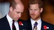 Le prince William remplacera le prince Harry pour d'importantes fonctions royales au nom de la reine