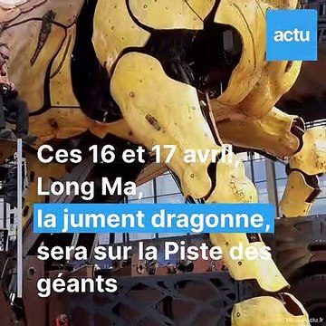 Long Ma le cheval dragon en spectacle à la Halle de la machine à Toulouse
