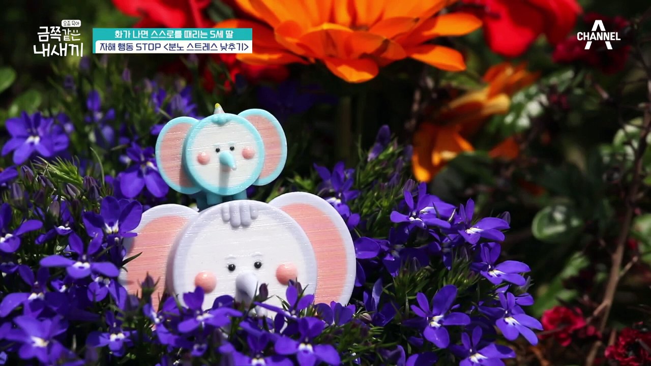 꿈만 같은 변화♥ 부부의 사랑으로 멈춘 금쪽이의 자해