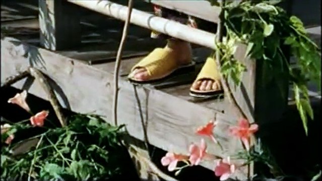 De l'eau tiède sous un pont rouge Extrait vidéo (4) VO