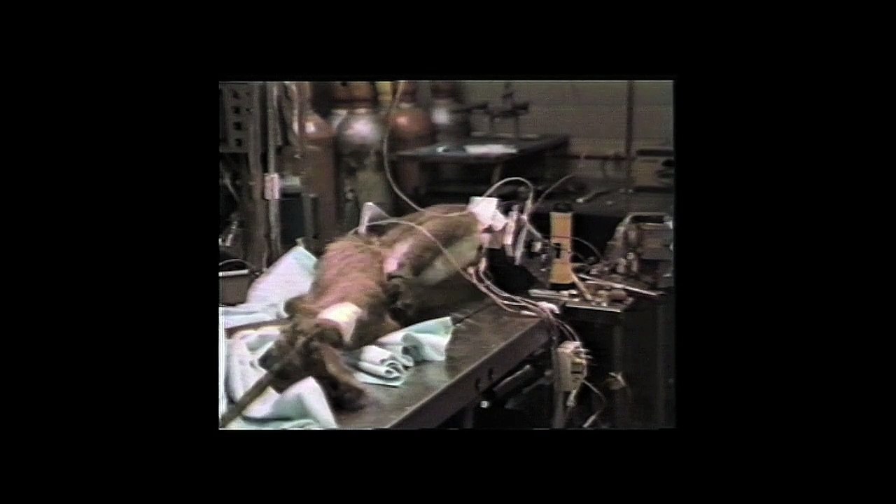 A.L.F. Bande-annonce VO