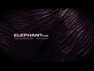 Le Ministère de la peur Bande-annonce VO