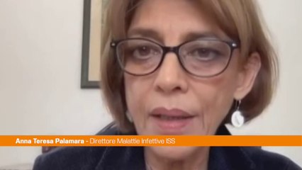 Covid, Palamara (Iss) "Incidenza in lieve calo"