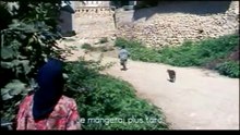 Le Petit homme Extrait vidéo (2) VO