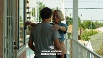 Animal Kingdom - saison 1 Bande-annonce VF