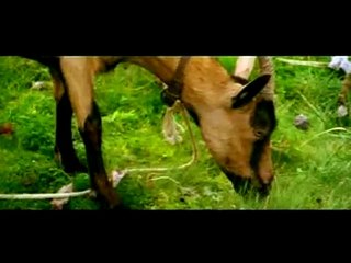 Grégoire Moulin contre l&#039;humanité Teaser VF