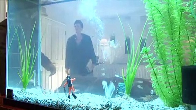 The Graduate XXX: A Paul Thomas Parody Bande-annonce VF