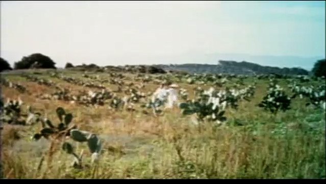 Avec tout mon amour Bande-annonce VF