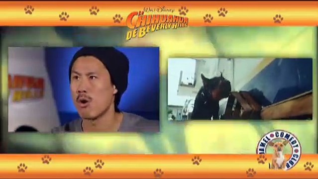 Le Chihuahua de Beverly Hills Making Of VF