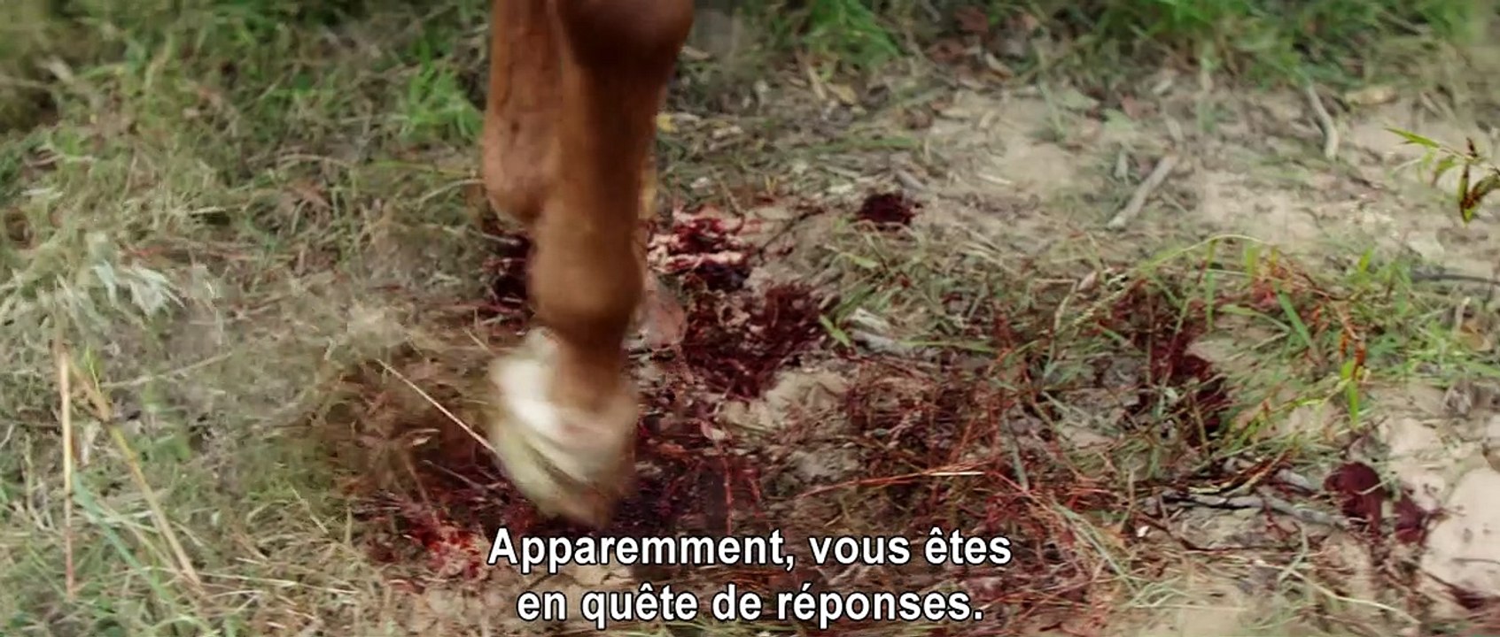 Le Duel Bande-annonce VO