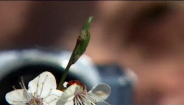 Nulle part, terre promise Extrait vidéo VO