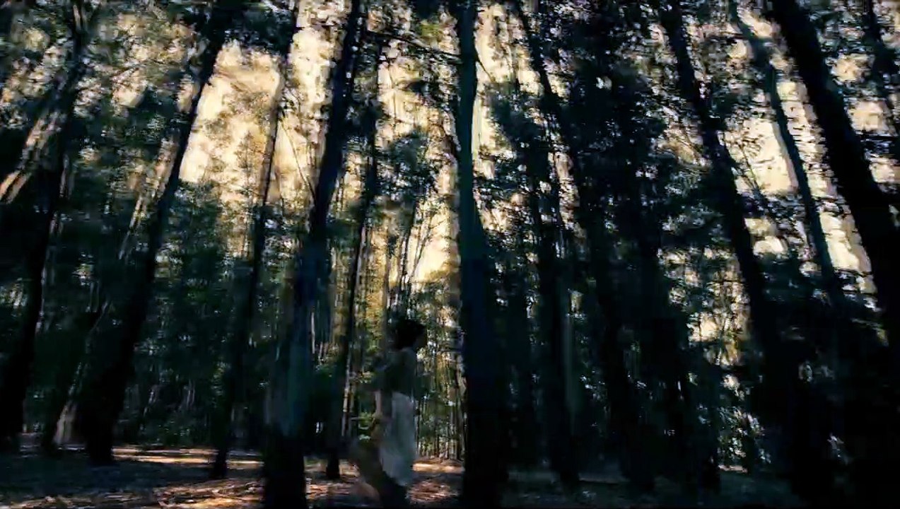 Les Lettres portugaises Bande-annonce VF