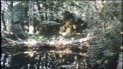 La bête Bande-annonce VF