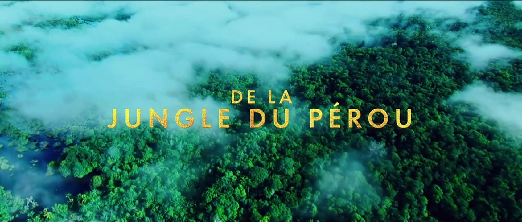 Paddington Teaser VF