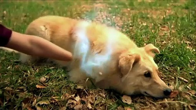 Mon ami Marlowe Bande-annonce VO