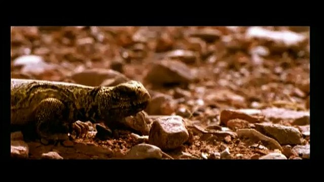 Sueurs Bande-annonce VF