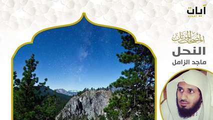 Surah An-Nahl (bee) | Beautiful Quran Recitation | সূরা নাহল | سورة النحل