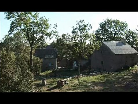 Les Brebis font de la résistance Extrait vidéo (3) VF