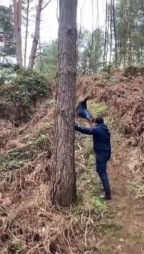 Walk in the Woods Ends With Tumble off Trail