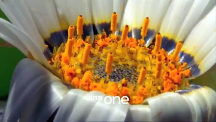 The Village - saison 1 Bande-annonce VO