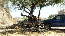 Ayuntamiento PVR abandona áreas verdes en Lomas del Pedregal | CPS Noticias Puerto Vallarta