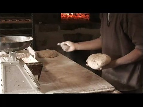 Les Brebis font de la résistance Extrait vidéo (5) VF