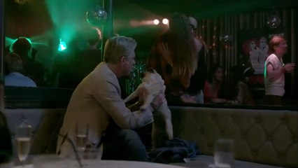 Hôtel de la plage - TEASER saison 2 "Chien perdu"