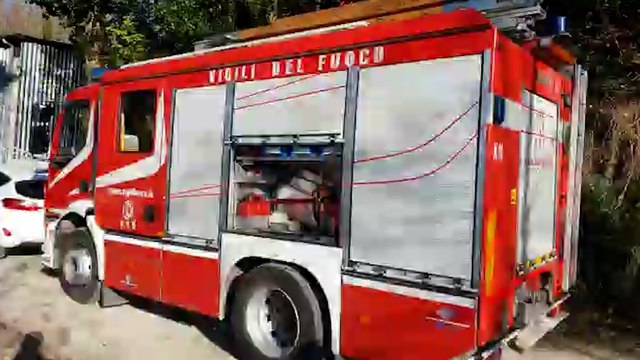 Rimini, muore schiacciato sotto a un albero a Gemmano. Il video dei soccorsi