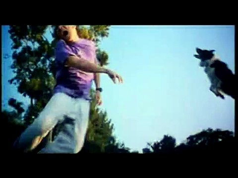 Animal ! L'animal... Bande-annonce VF