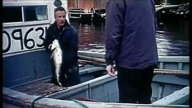 Terre Neuve Bande-annonce VF