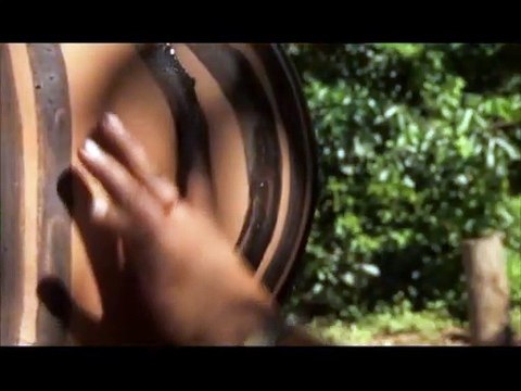 Le Premier cri Bande-annonce (2) VF