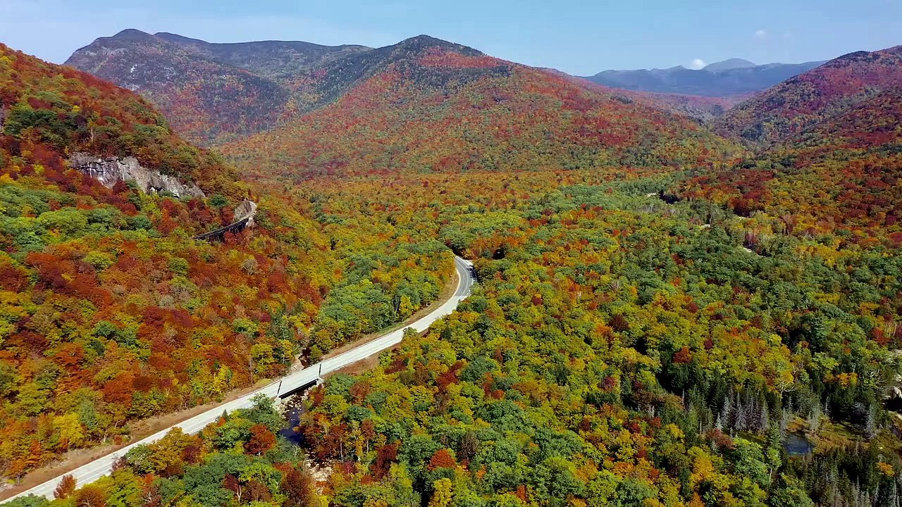 Free Autumn Aerial Video Footage