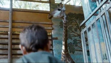 Girafada - EXTRAIT VOST "Mon ami palestinien"