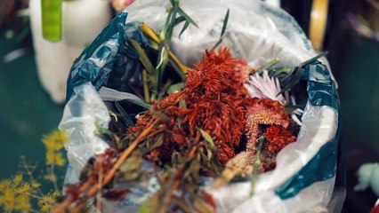 1400 Bande-annonce VO