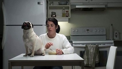 Chef de meute Bande-annonce VF