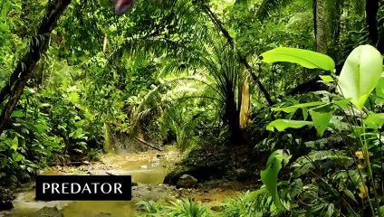 Schwarzie rejoue sa filmographie chez James Corden