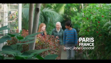 Animal EXTRAIT VO "Jane Goodall"