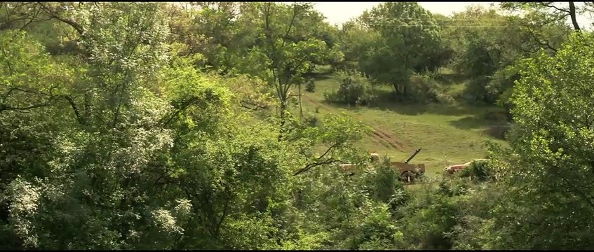 Aux yeux des vivants Bande-annonce VF