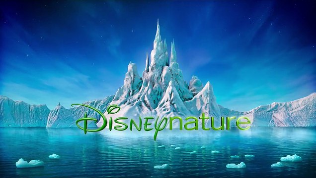 Blue EXTRAIT Les dauphins