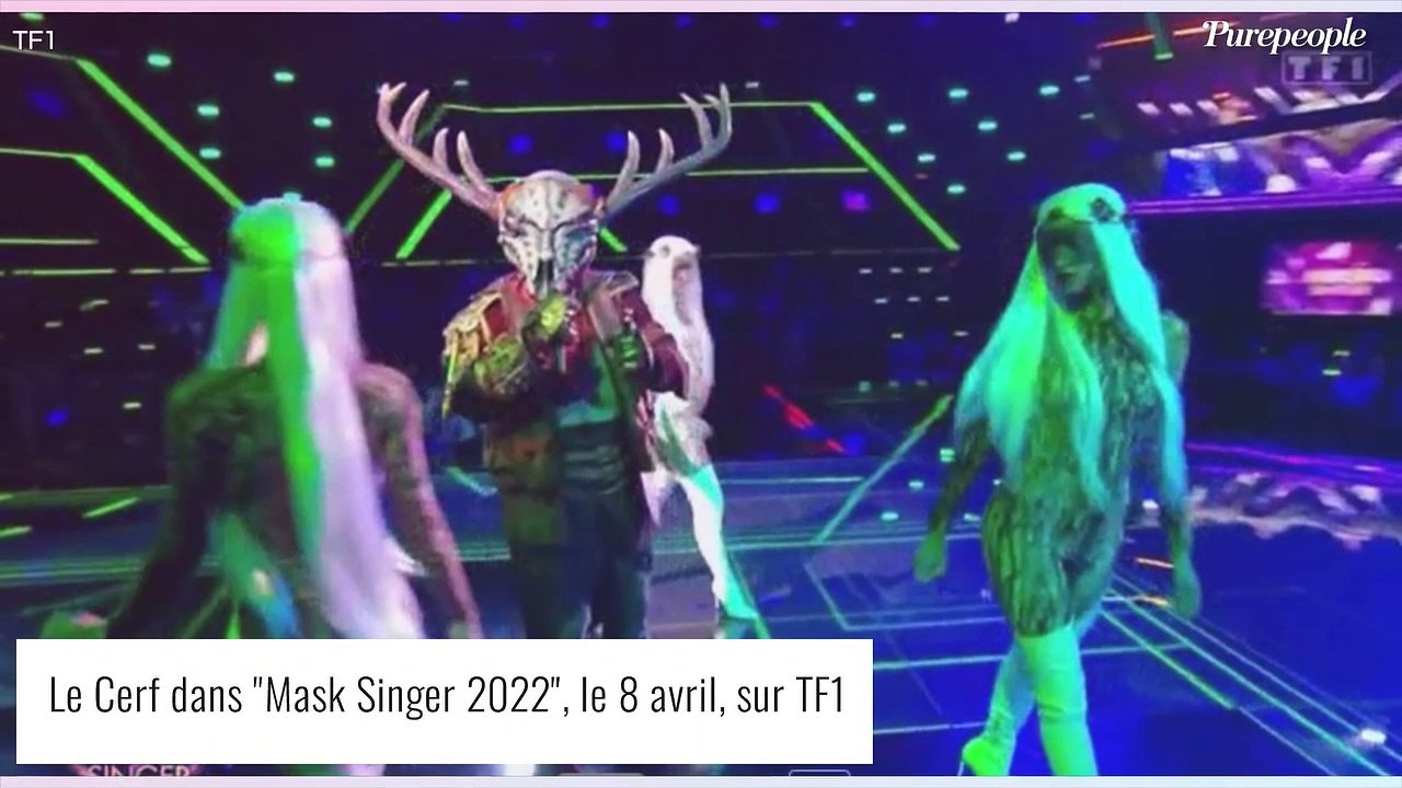 Mask Singer - le Cerf : Tous les indices dévoilés