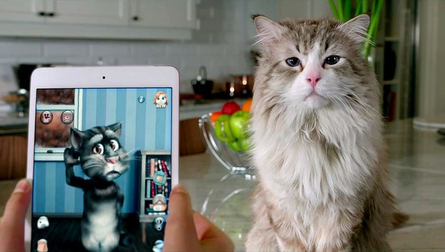 Ma vie de chat - EXTRAIT VF Mot pour mot